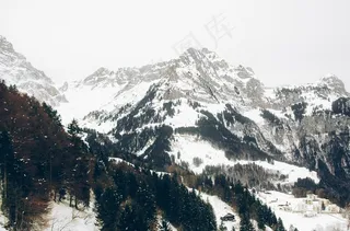 山，冬季，树木，森林，冒险，旅行