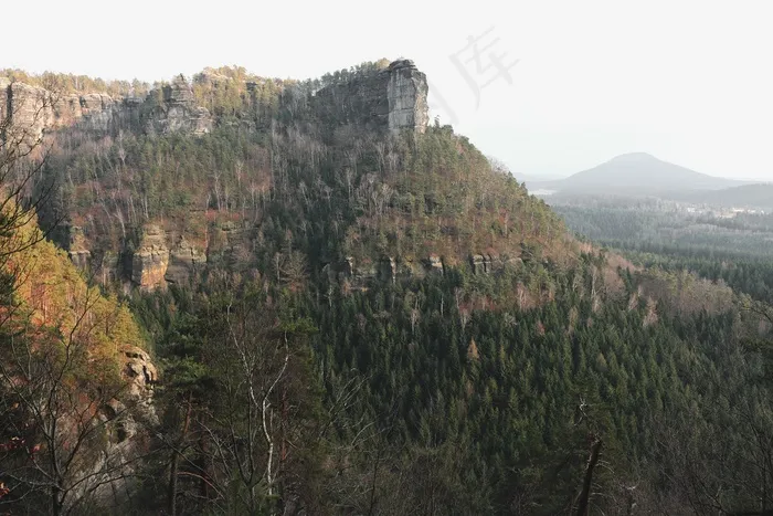 山峦,树,长城,生态林,风景,自然森林树木山