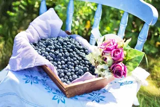 蓝莓，夏天，水果，健康，新鲜，甜