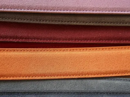 皮带，皮带，皮肤，颜色