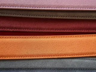 皮带，皮带，皮肤，颜色