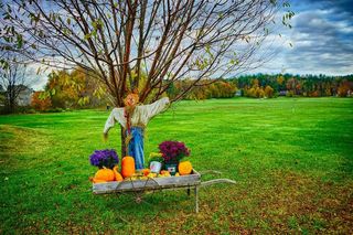 秋天，叶子，山，天空，云团，秋季，性质