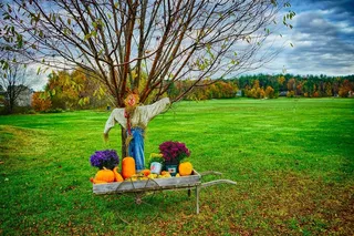 秋天，叶子，山，天空，云团，秋季，性质