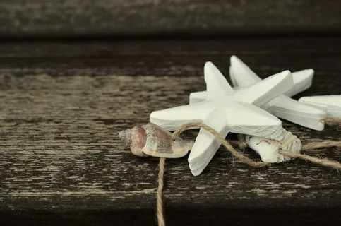 海星，贝壳，木材，海事，装饰，绳子