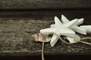 海星，贝壳，木材，海事，装饰，绳子