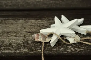 海星，贝壳，木材，海事，装饰，绳子