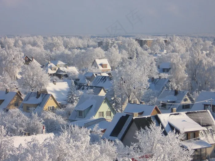 冬季，雪，冷，自然，弗罗斯特，冬季景观