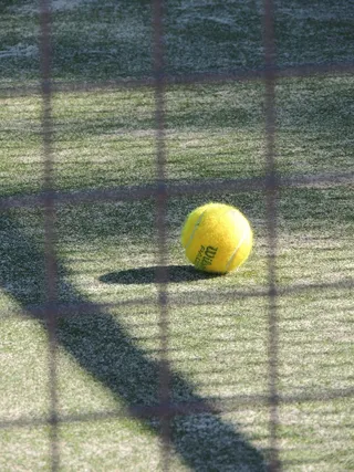 网球，运动，桨，球，轨道，进近