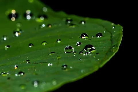 水滴,水,水滴,雨,泪,泪滴,液体 水滴,水,水滴,雨,泪,泪滴,液体