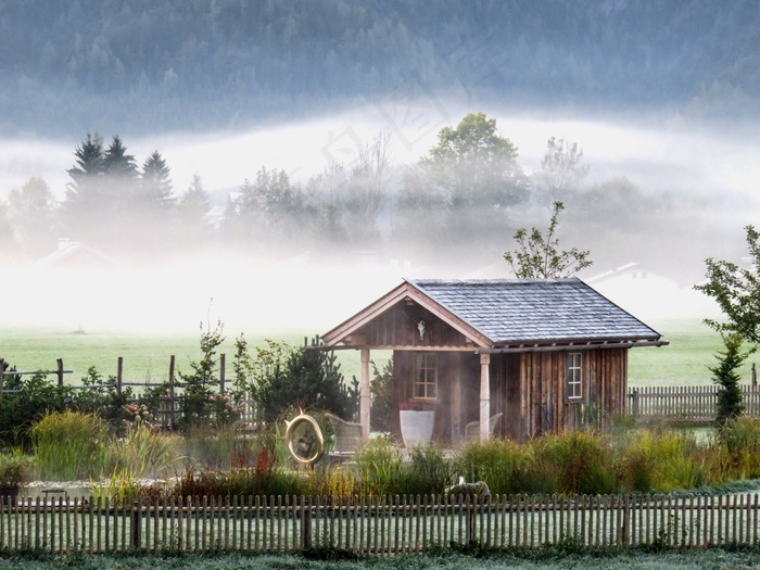 秋天的心情，景观，雾，秋天，心情，早晨