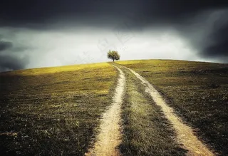 公路,虫子,海洋,天空,树,促进山上树的路径