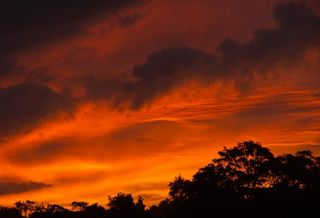 日落，天空，红色，橙色，云团，地平线，树木