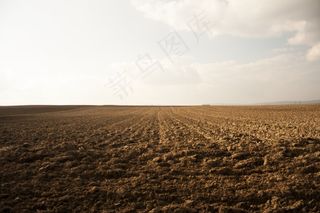 田野，耕地，自然，环境，风景