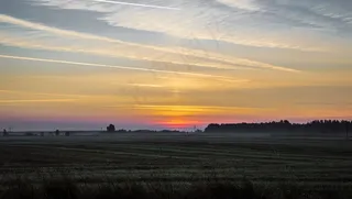 日出，早晨，黎明，太阳，天空，初升的太阳，场