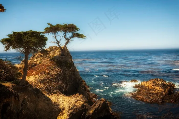 柏树，海，海洋，水，海景，假期