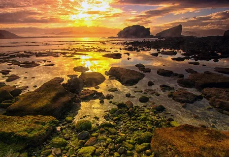 海洋，海景，日落，海岸，岩石，水，黄昏