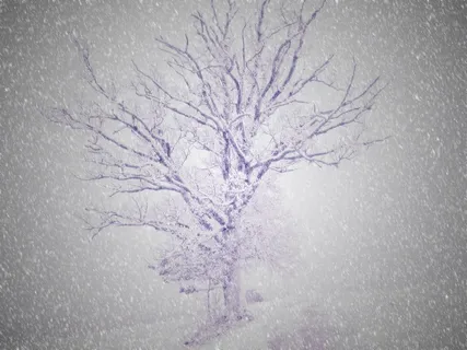 超现实,树,寒冬,雪,光 超现实,树,寒冬,雪,光