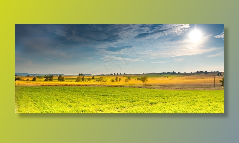 景观，春天，字段，阳光，云团，树