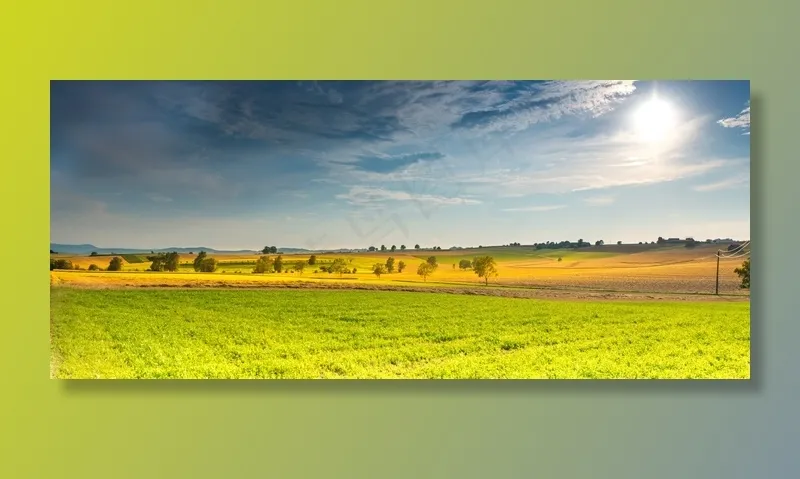 景观，春天，字段，阳光，云团，树