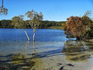 弗雷泽岛，湖泊，水，骑，植被，岛