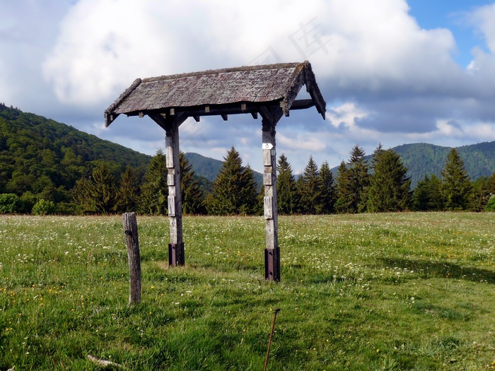 法国，景观，山，森林，树木，场，天空
