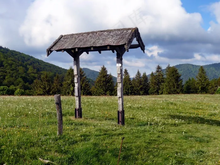 法国，景观，山，森林，树木，场，天空