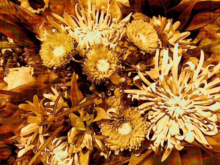 鲜花，花的，开花，花瓣，明亮，盛开，植物群