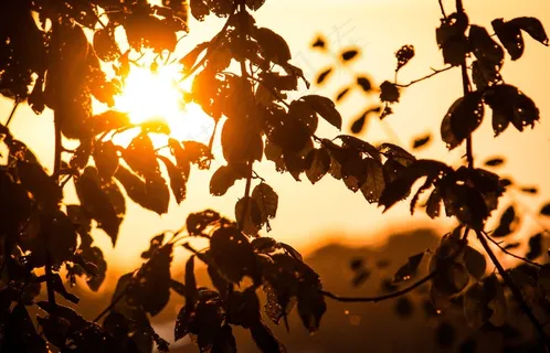 太阳，日落，傍晚的天空，浪漫，Abendstimmung