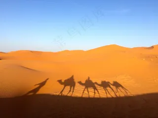 撒哈拉沙漠，沙，性质，沙漠，干，非洲，旅行，很热