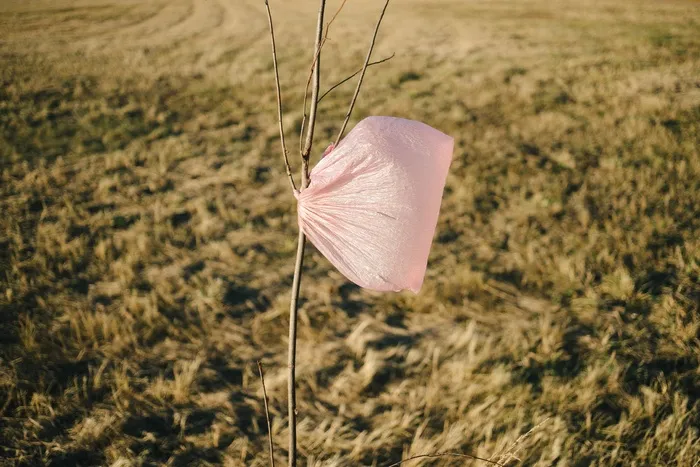 雨伞,摄影反光伞,雨具,落地灯,遮阳伞/雨伞,一棵树上的塑料袋