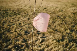 雨伞,摄影反光伞,雨具,落地灯,遮阳伞/雨伞,一棵树上的塑料袋