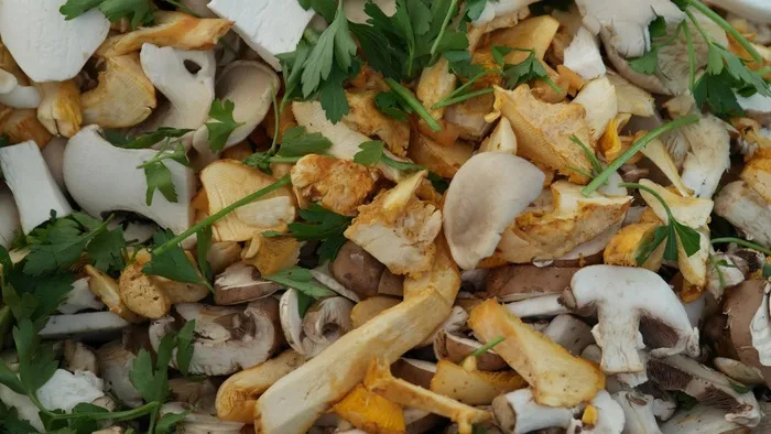 蘑菇，森林蘑菇，自然，森林，蔬菜