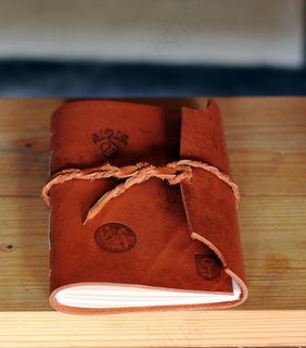 书，皮肤，手册