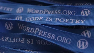 WordPress的，挂绳，博客，博客，蓝色，徽标，代码