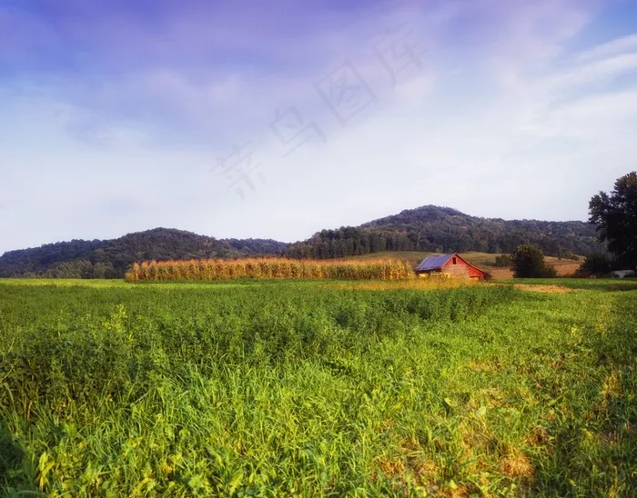 威斯康星州，丘陵，天空，云，森林，树木，景观