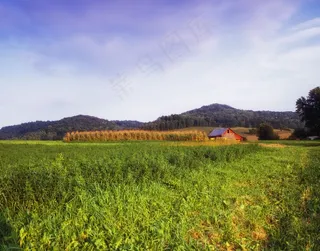 威斯康星州，丘陵，天空，云，森林，树木，景观