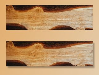 头发,小狗,地板砖,图画,油画,树的横截面