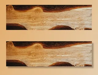 头发,小狗,地板砖,图画,油画,树的横截面