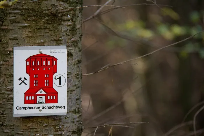 矿工小径，森林，秋天