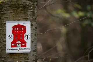 矿工小径，森林，秋天