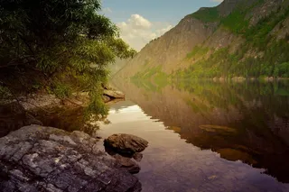 河，山，水，木材，叶子，夜，景观