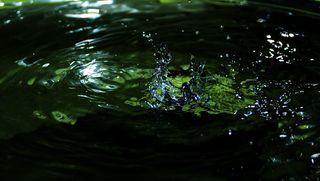 水滴，水，闪耀，飞溅，水坑