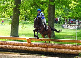 多功能性，平顺性，多功能性检查，三项赛
