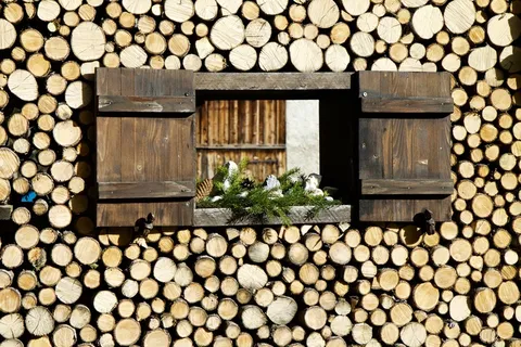 窗户，百叶窗，窗架，道路，分支部分，晶石