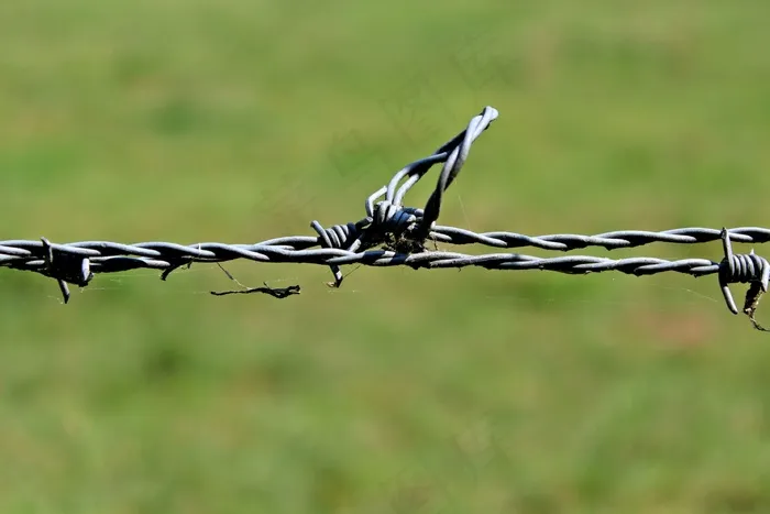 铁丝网，篱笆，金属，电线，刺，限制，接线