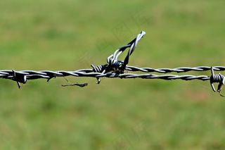 铁丝网，篱笆，金属，电线，刺，限制，接线