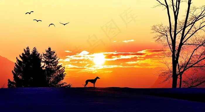 日出，Morgenstimmung，阳光，照明，太阳，树木