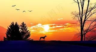 日出，Morgenstimmung，阳光，照明，太阳，树木