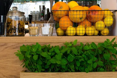 早餐，茶，草药，锅，咖啡厅，水果