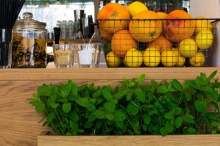 早餐，茶，草药，锅，咖啡厅，水果